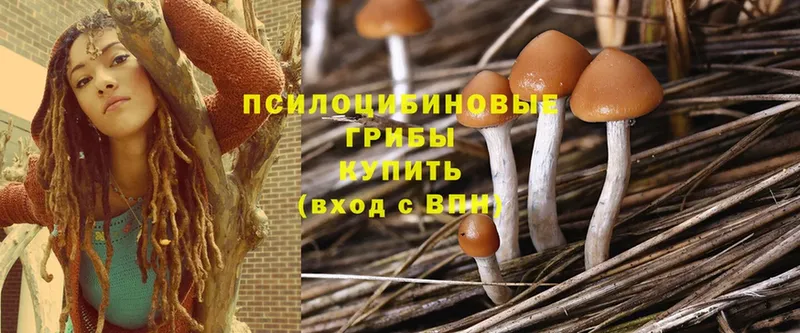 Псилоцибиновые грибы GOLDEN TEACHER  сайты даркнета какой сайт  Кировград  купить  сайты 